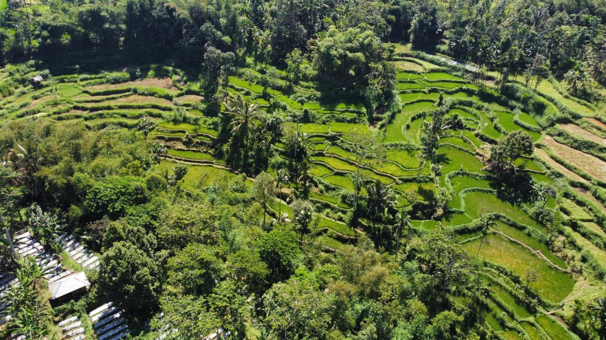 Nan Bungalows Tetebatu Exterior foto