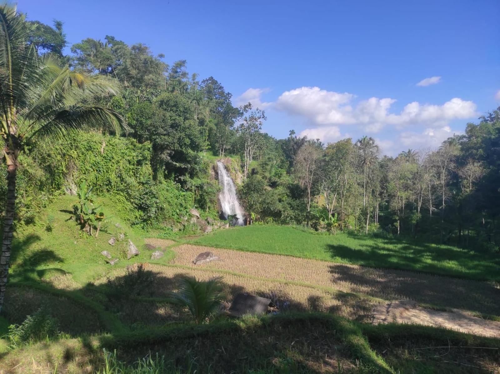 Nan Bungalows Tetebatu Exterior foto
